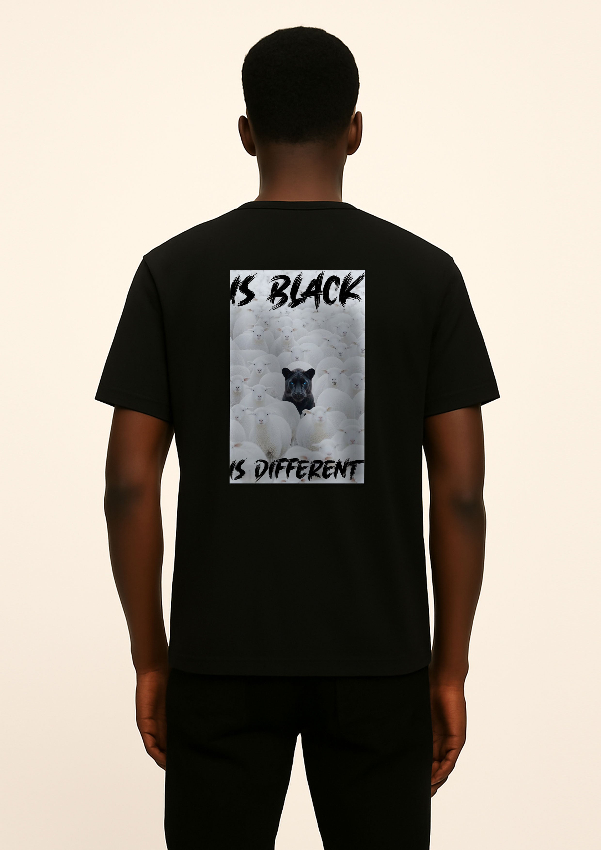 Art. 02 - t-shirt jersey blank