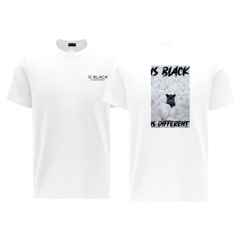 Art. 02 - t-shirt jersey blank