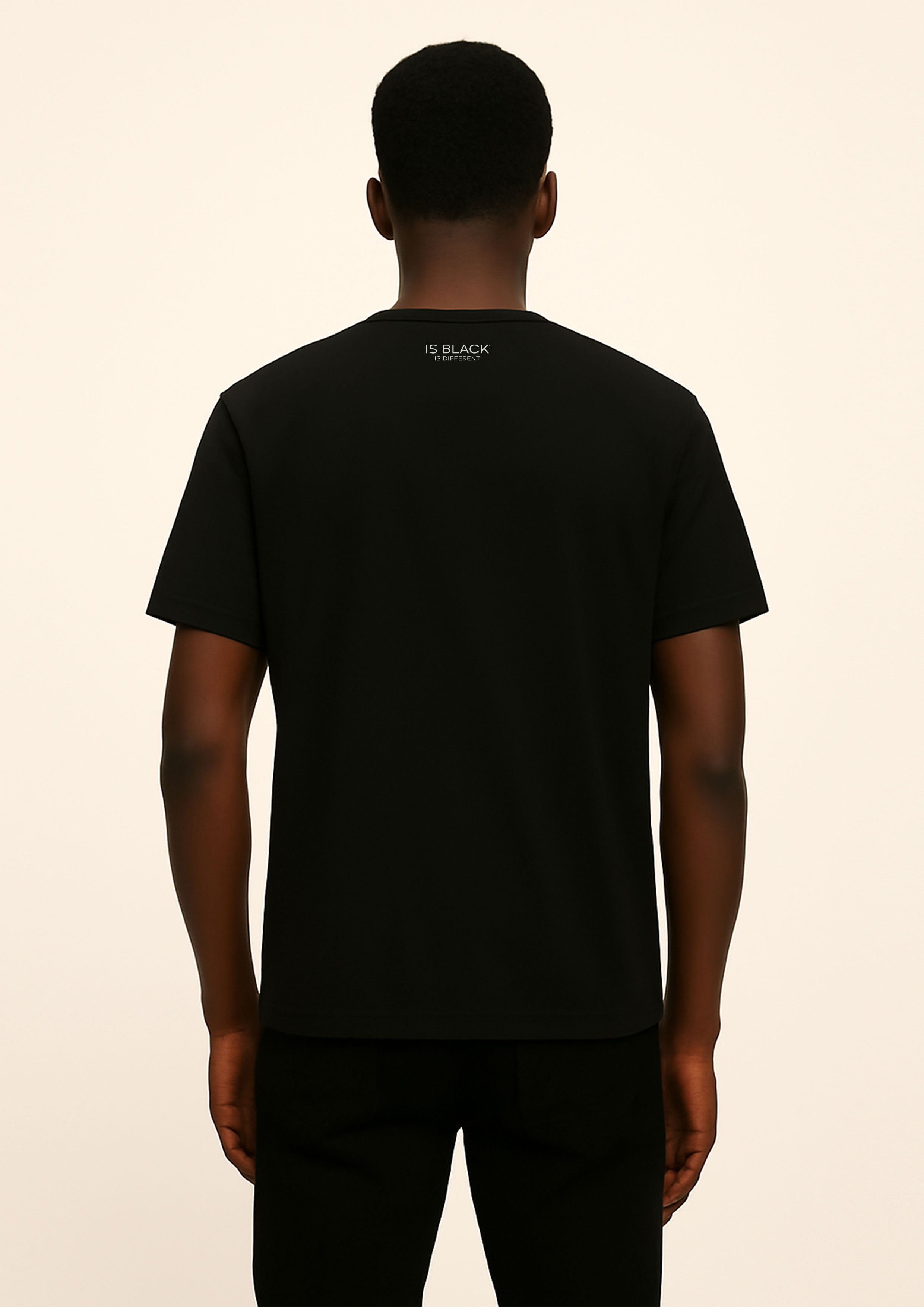 Art. 03 - t-shirt jersey blank